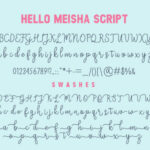 Meisha Duo Font Poster 9