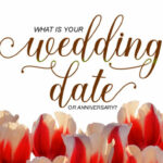 Melly Script Font Poster 5