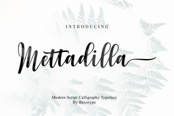 Mettadilla Script Font