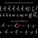 Metteora Script Font Poster 4