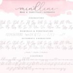 Mindline Script Font Poster 9