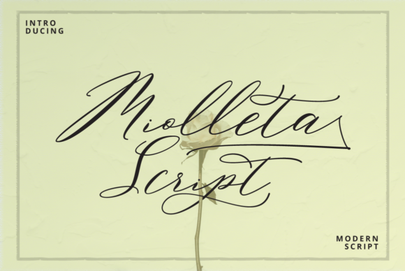 Miolleta Script Font