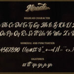 Miracle Script Font Poster 7
