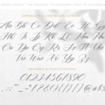 Mishora Script Font Poster 7