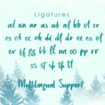 Mistletoes Font Poster 7