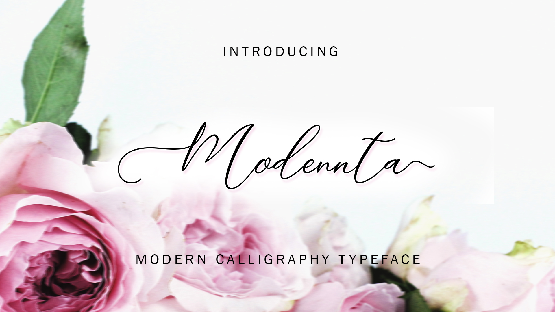 Modennta Script Font