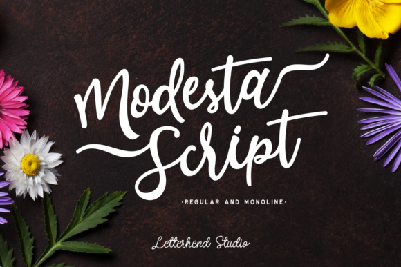 Modesta Script Font Poster 1