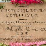 Molianty Script Font Poster 4