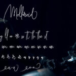 Mollaroid Font Poster 7