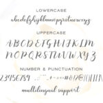 Monatia Script Font Poster 11