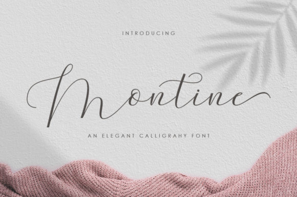 Montine Script Font Poster 1