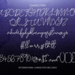 Moonlight Sailing Script Font Poster 2