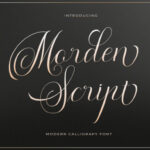 Morden Script Font Poster 1