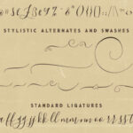Morgana Script Font Poster 7