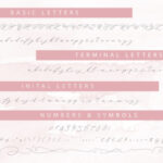 Morning Tea Script Font Poster 13