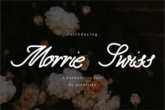 Morrie Swiss Font