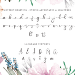Mottion Font Poster 7