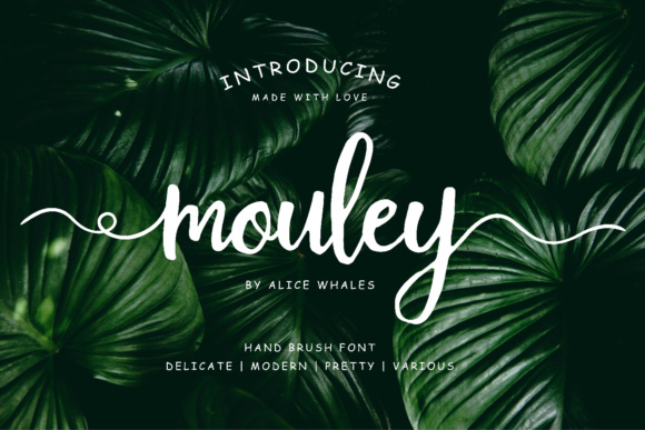 Mouley Font Poster 1