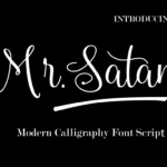 Mr. Satan Font Poster 1
