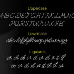 Mudica Font Poster 5