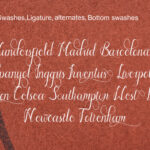 Mufida Aivia Font Poster 4