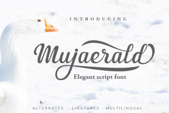 Mujaerald Font Poster 1