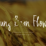 Mung Bean Flower Font Poster 1