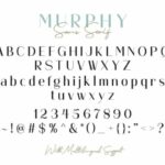 Murphy Font Poster 11