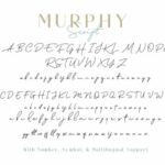Murphy Font Poster 12
