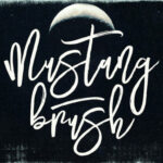 Mustang Font Poster 9