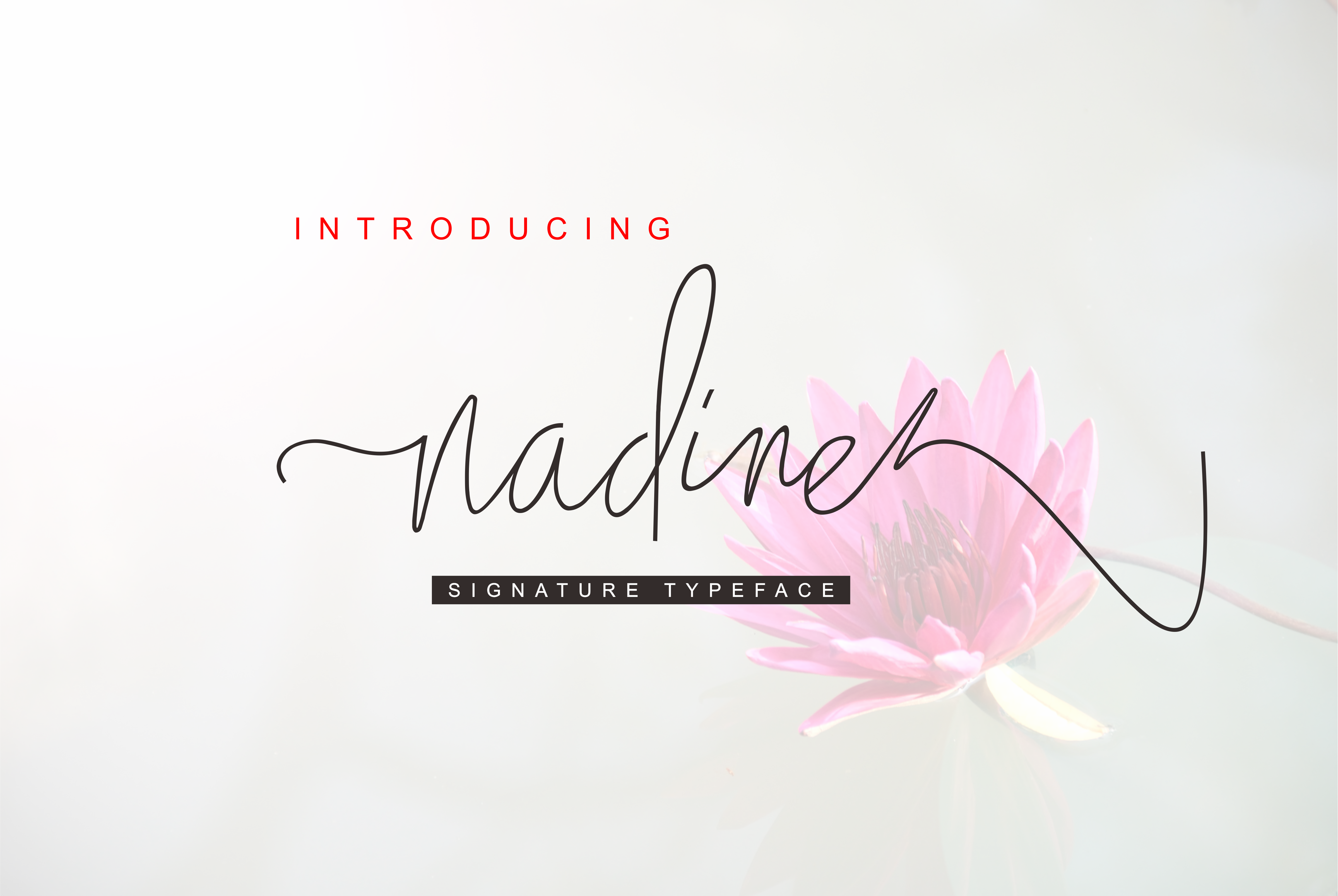 Nadine Script Font Nadine Script Font Poster 1