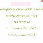 Nagitha Font Poster 7