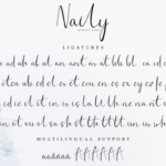 Naily Font Poster 11