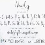 Naily Font Poster 10