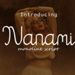 Nanami Font Poster 1