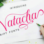 Natacha Font Poster 1