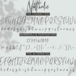 Natthalie Font Poster 8