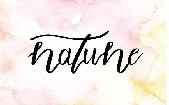 Natune Font Natune Font Poster 1