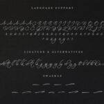 Neira Script Font Poster 6