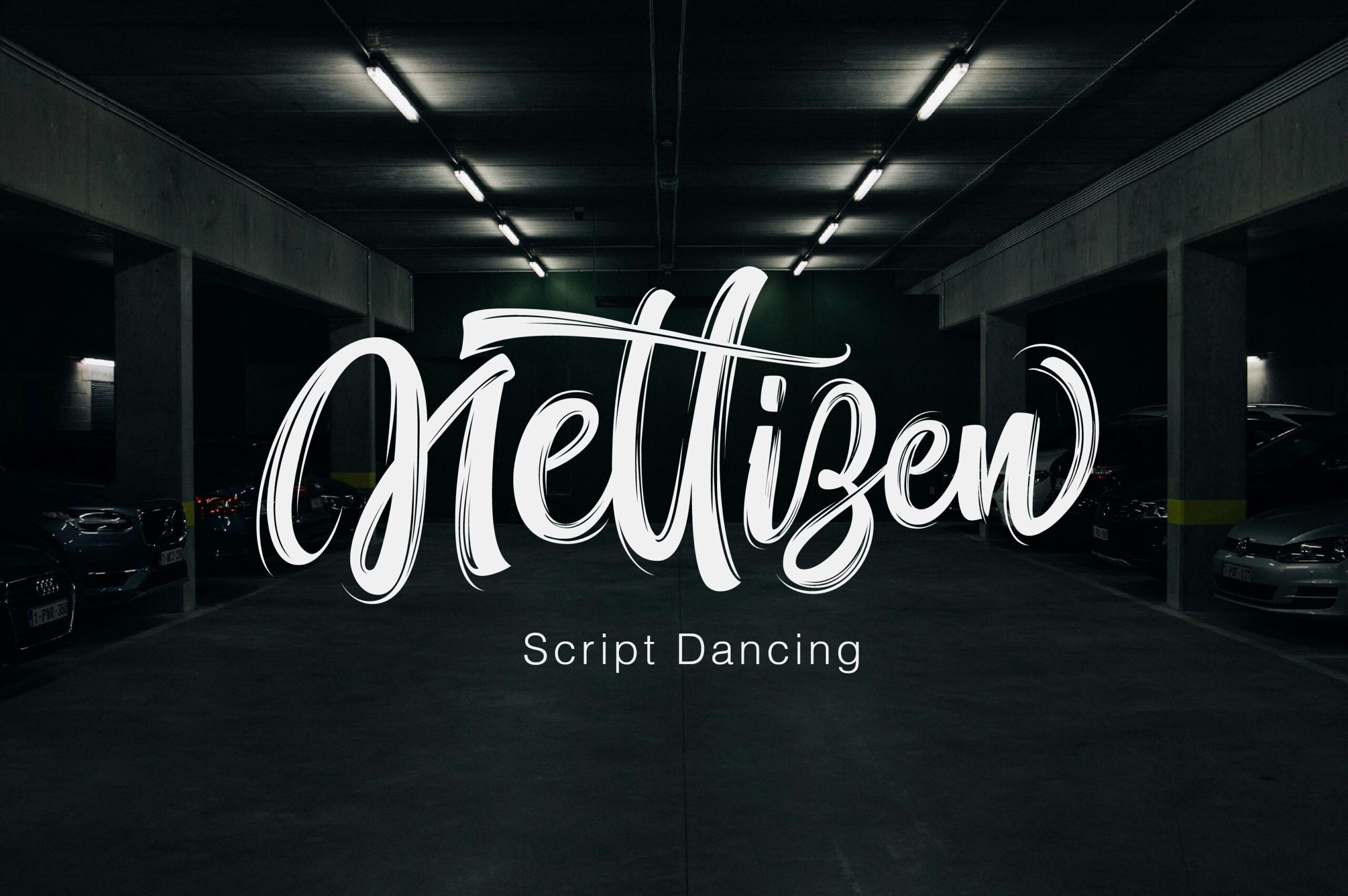 Nettizen Font