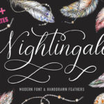 Nightingale Script Font Poster 1