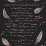 Nightingale Script Font Poster 11