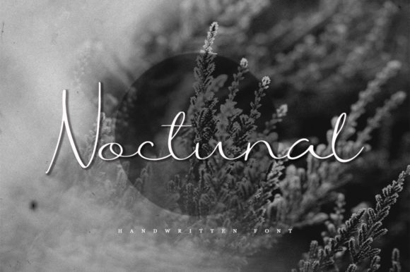 Noctunal Font