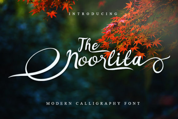 Noorlita Font Poster 1