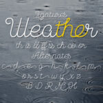 November Rain Font Poster 4