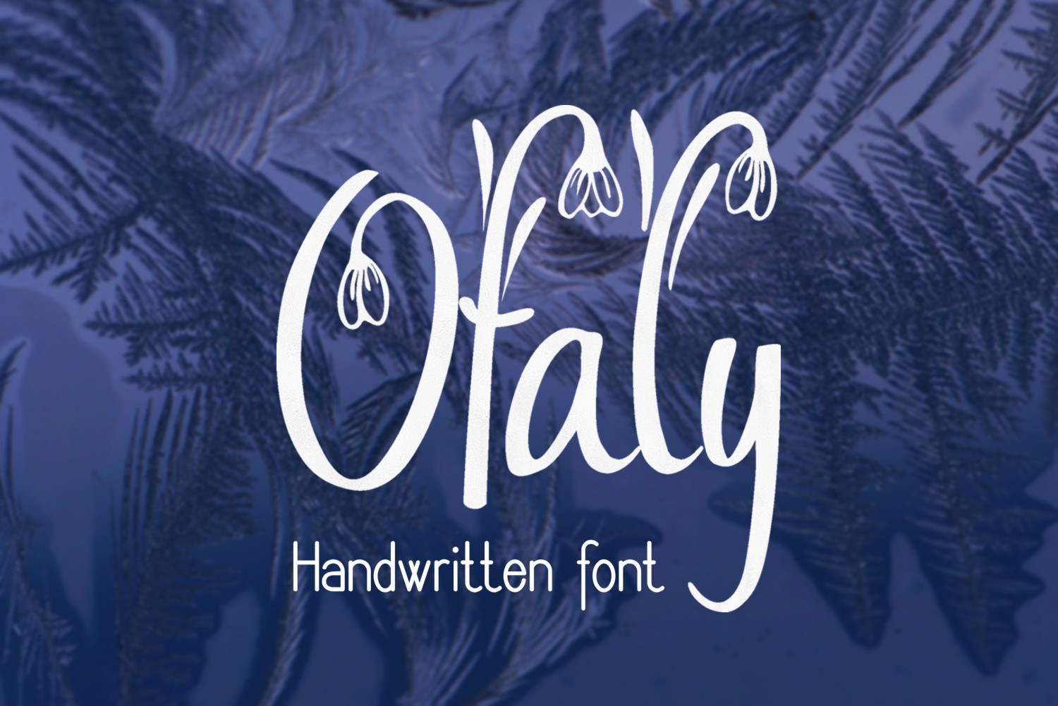 Ofaly Font Poster 1