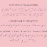 Onette Font Poster 10