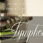 Opulent Script Font Poster 3