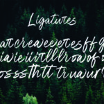 Oregon Script Font Poster 8