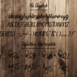 Ozora Script Font Poster 5